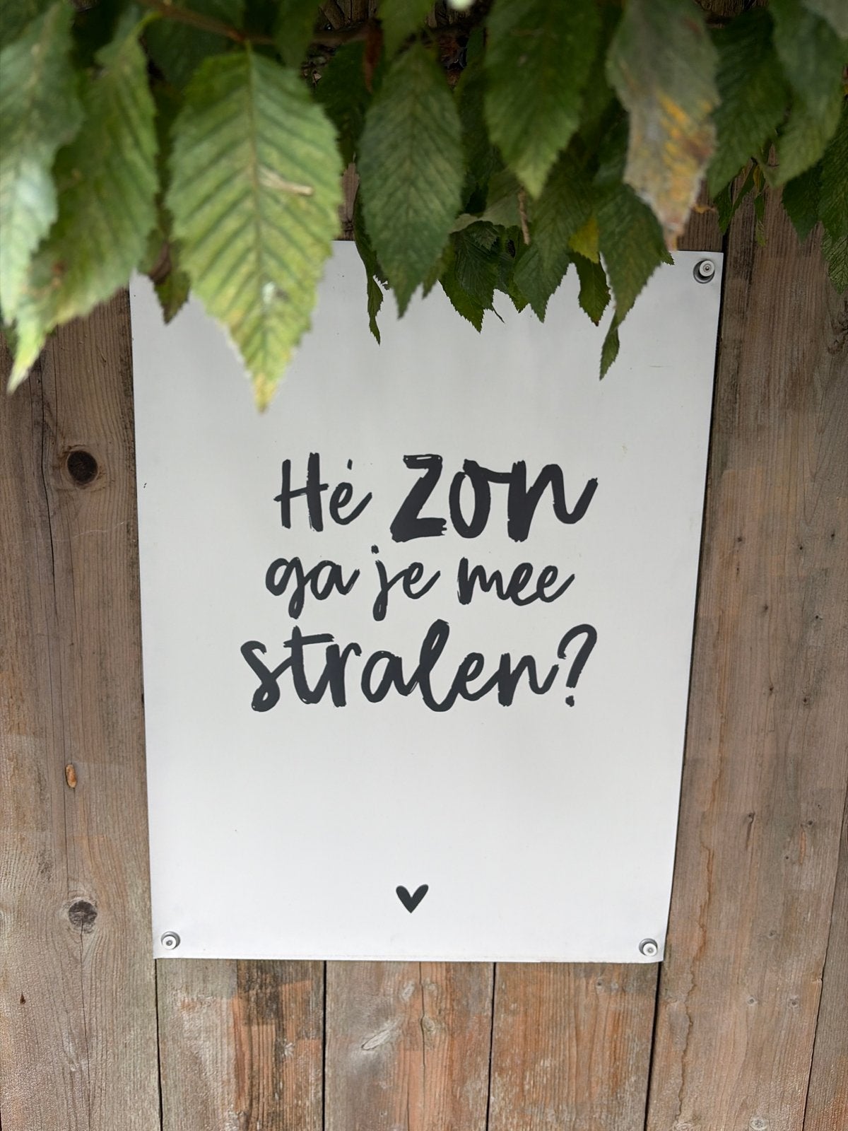Leuke buitenposter met tekst: Hé zon ga je mee stralen?, Rechthoekig Staand, Nieuw, Ophalen of Verzenden, Canvas of Doek