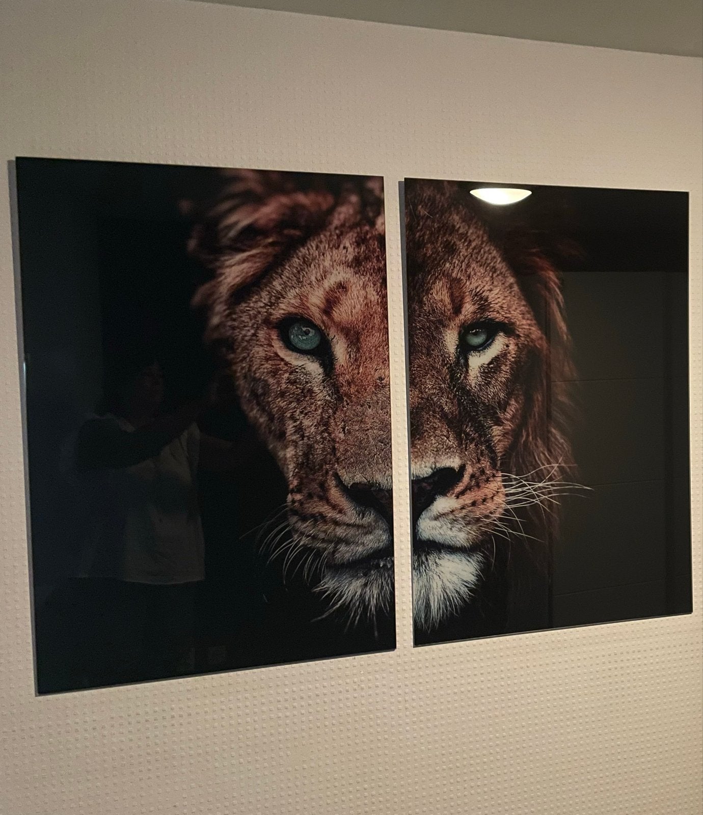 Plexiglas Leeuwenkop Schilderij - 2 Panelen 60x90cm, Huis en Inrichting, Woonaccessoires | Schilderijen, Tekeningen en Foto's