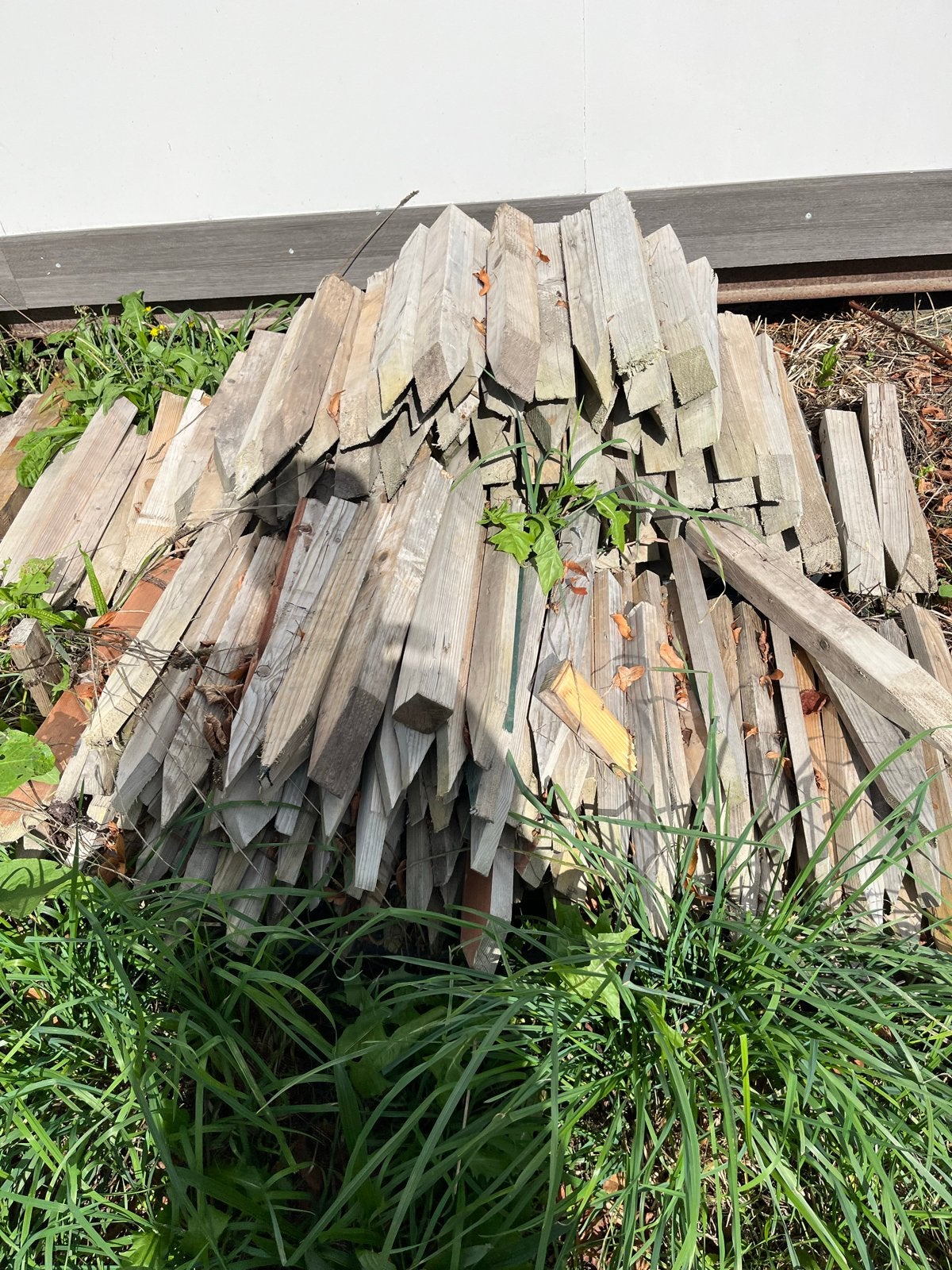 Piketten voor bouw en tuin - Diverse maten, Doe-het-zelf en Verbouw, Gebruikt, 25 tot 50 mm, Overige typen, Ophalen of Verzenden