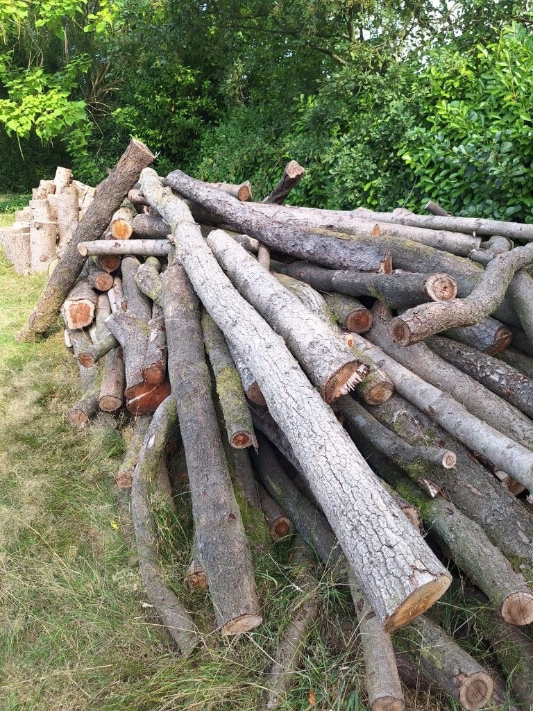 Haardhout, 6 m³ of meer, Ophalen, Stammen