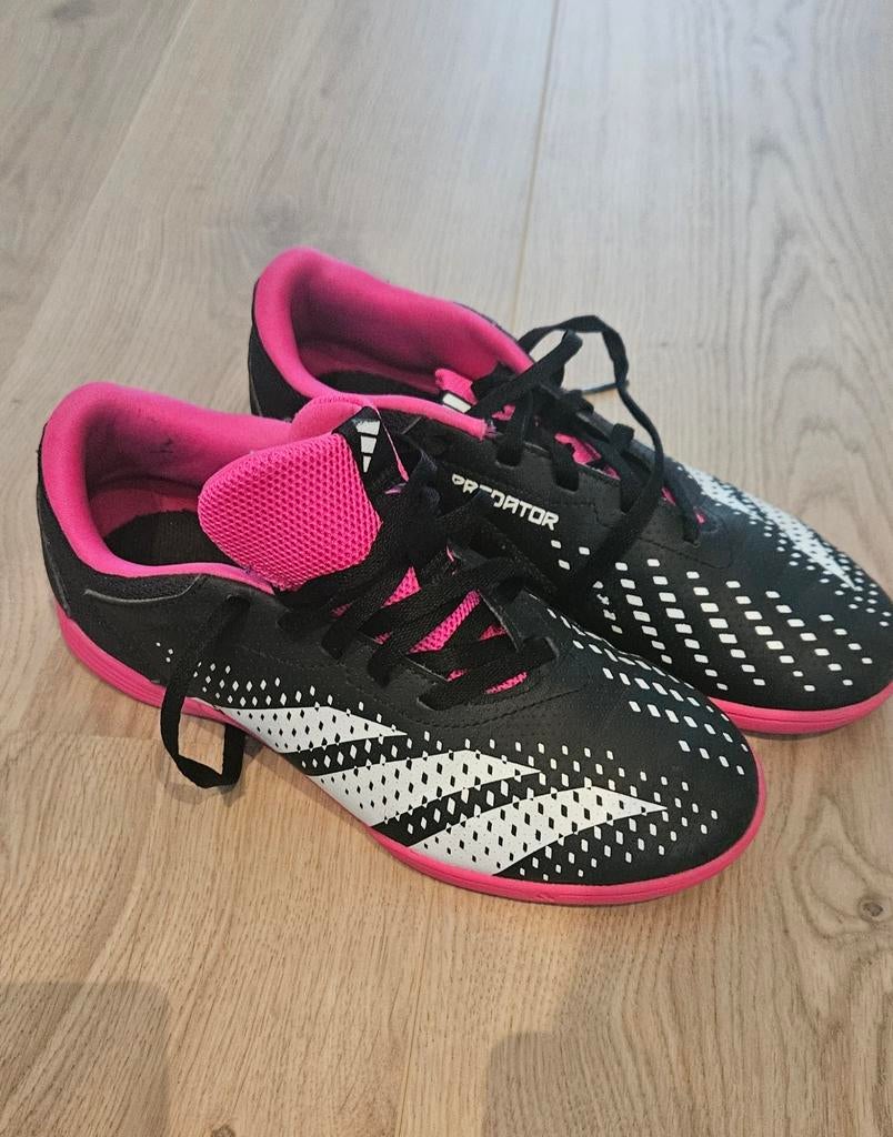 Adidas Predator zaalvoetbalschoenen - Maat 37.5, Ophalen of Verzenden, Zo goed als nieuw, Schoenen