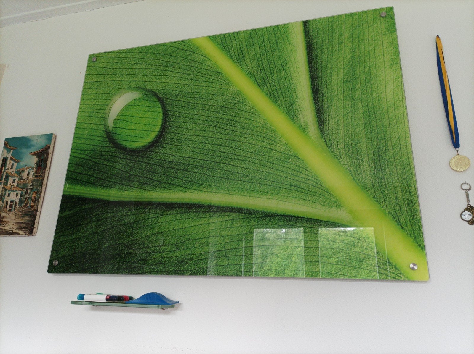 Magneetbord van glas met afbeelding van blad met waterdruppe, Ophalen