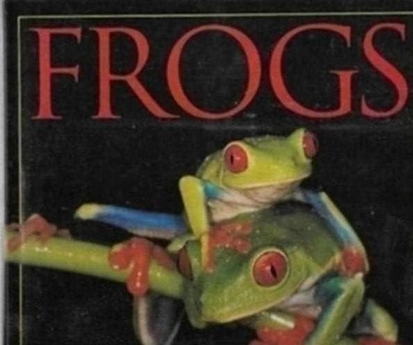 David Badger Frogs, Boeken, Ophalen of Verzenden, Zo goed als nieuw, Reptielen of Amfibieën