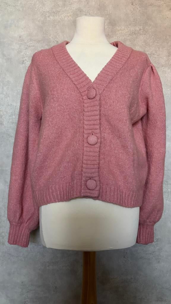 > Mooi vest!, Kleding | Dames, Truien en Vesten, Ophalen of Verzenden, Zo goed als nieuw, Maat 42/44 (L), Roze