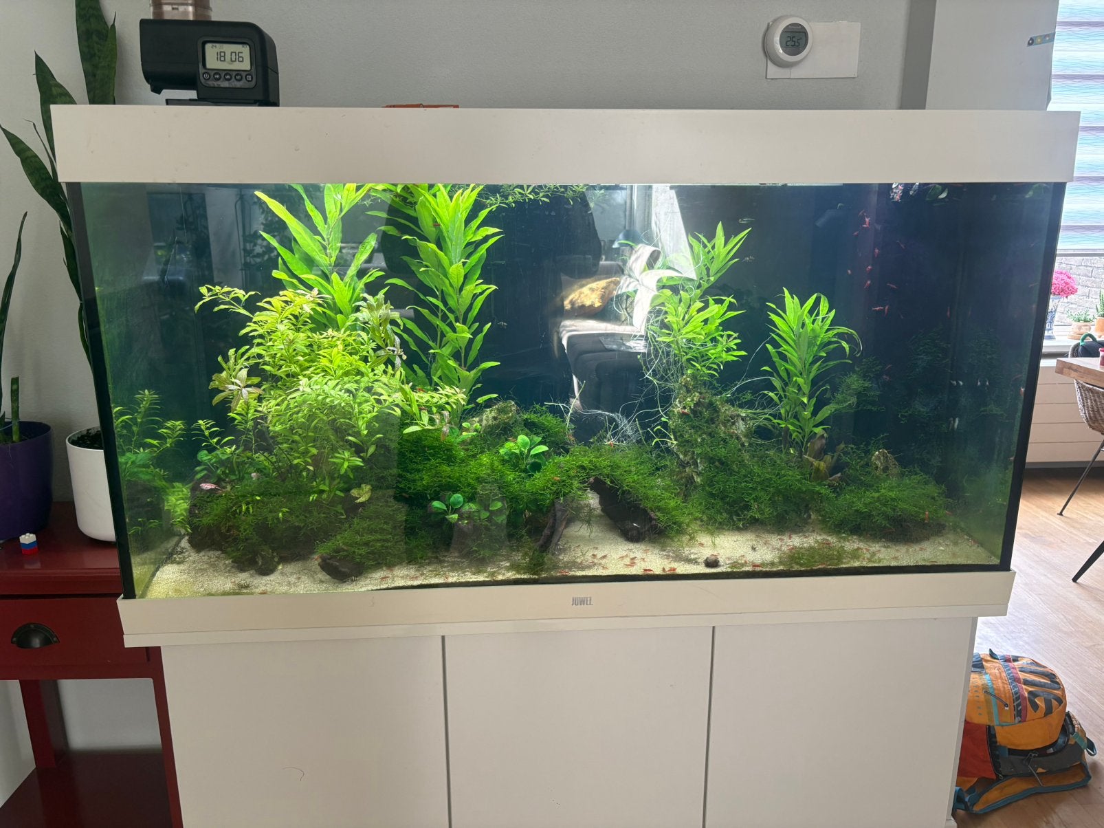 Juwel 350 Aquarium Te Koop, Ophalen, Gebruikt, Inclusief vissen, Gevuld zoetwateraquarium