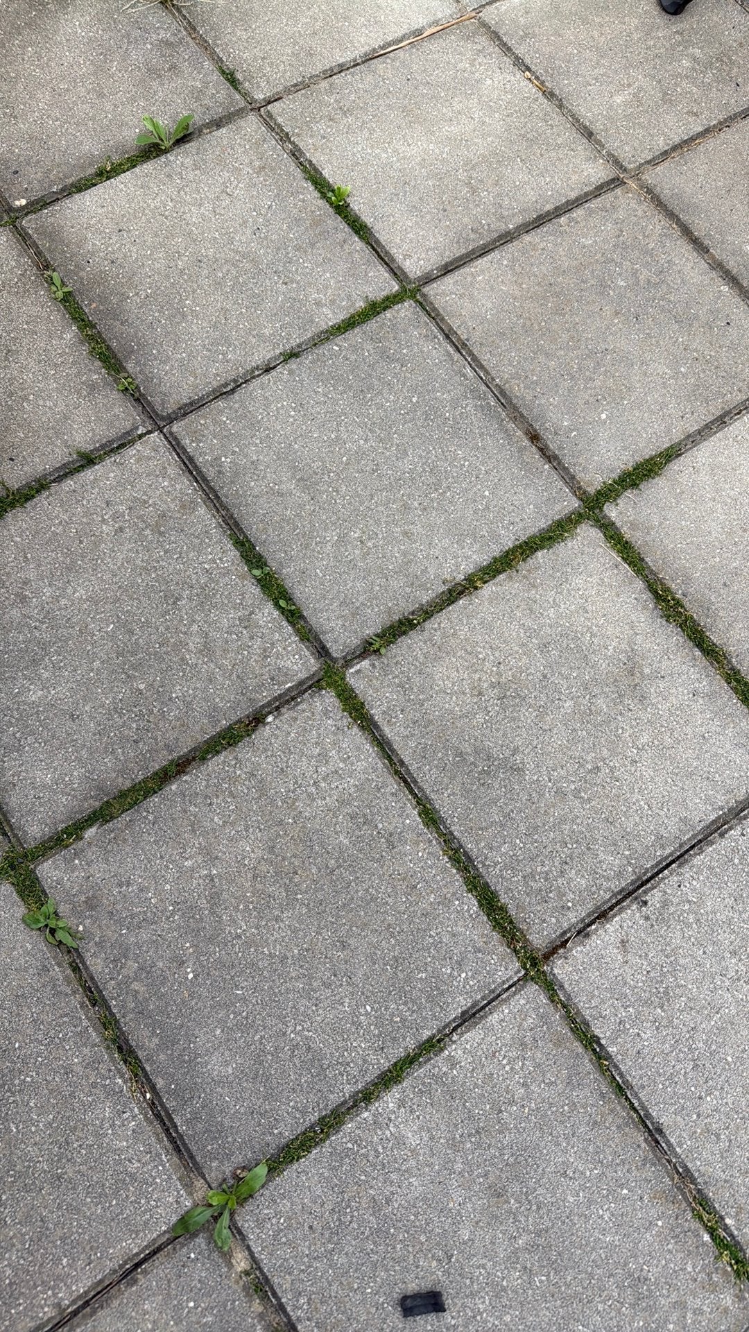 Tuin Tegels, Ophalen of Verzenden, Zo goed als nieuw, Beton, Terrastegels