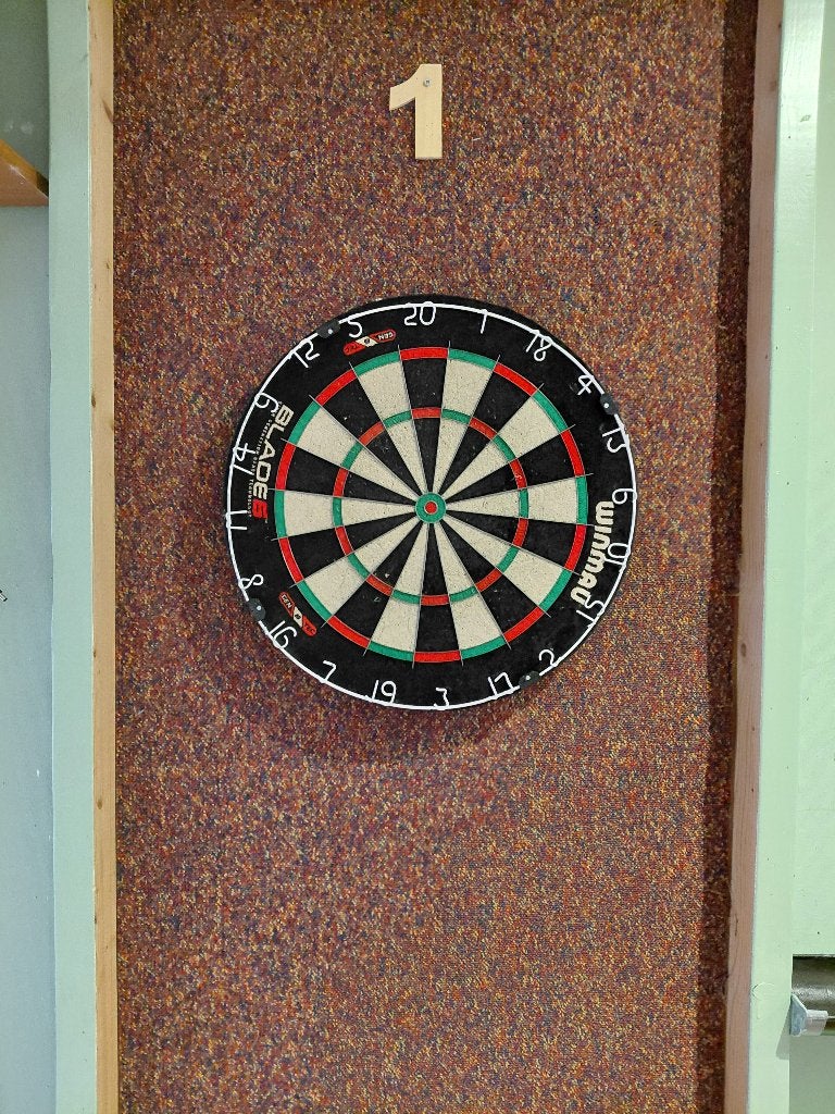 Dartborden, Sport en Fitness, Ophalen of Verzenden, Gebruikt, Dartbord