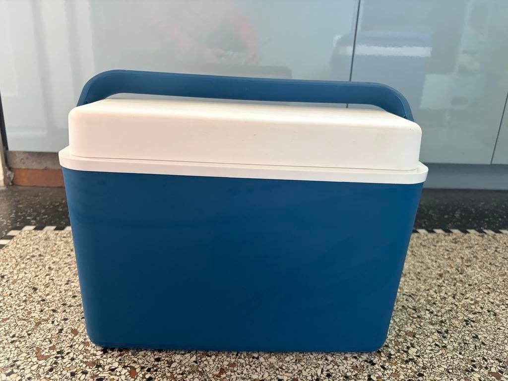 Kleine koelbox met koelelementen, Ophalen, Zo goed als nieuw, Koelelement