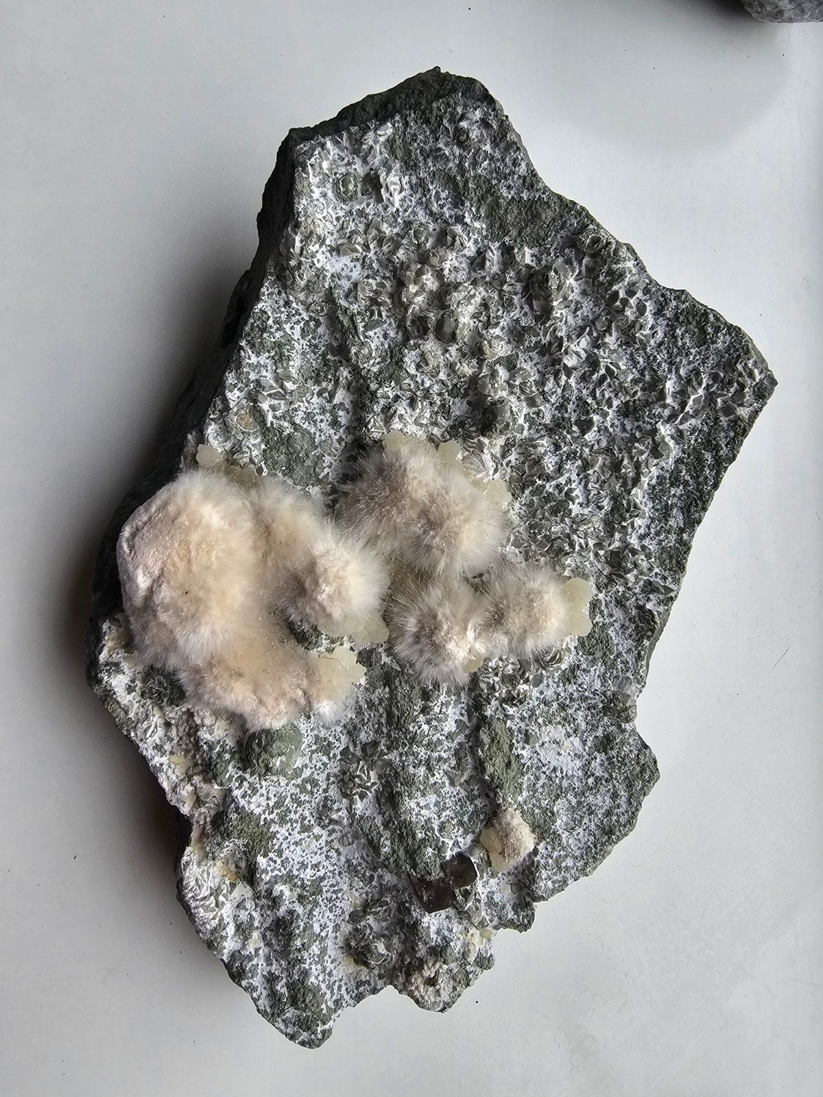 Okeniet en Gyroliet op Basalt Matrix, Ophalen of Verzenden, Mineraal