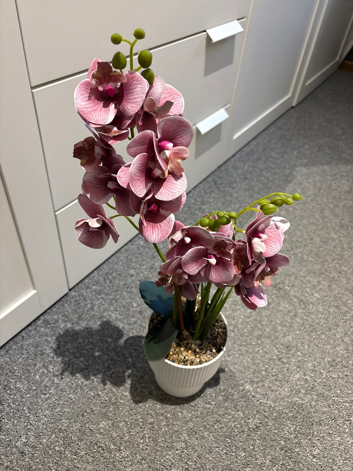 Nieuwe Kunst Orchidee - 50 cm hoog, Binnen, Roze, Kunstbloem, Nieuw