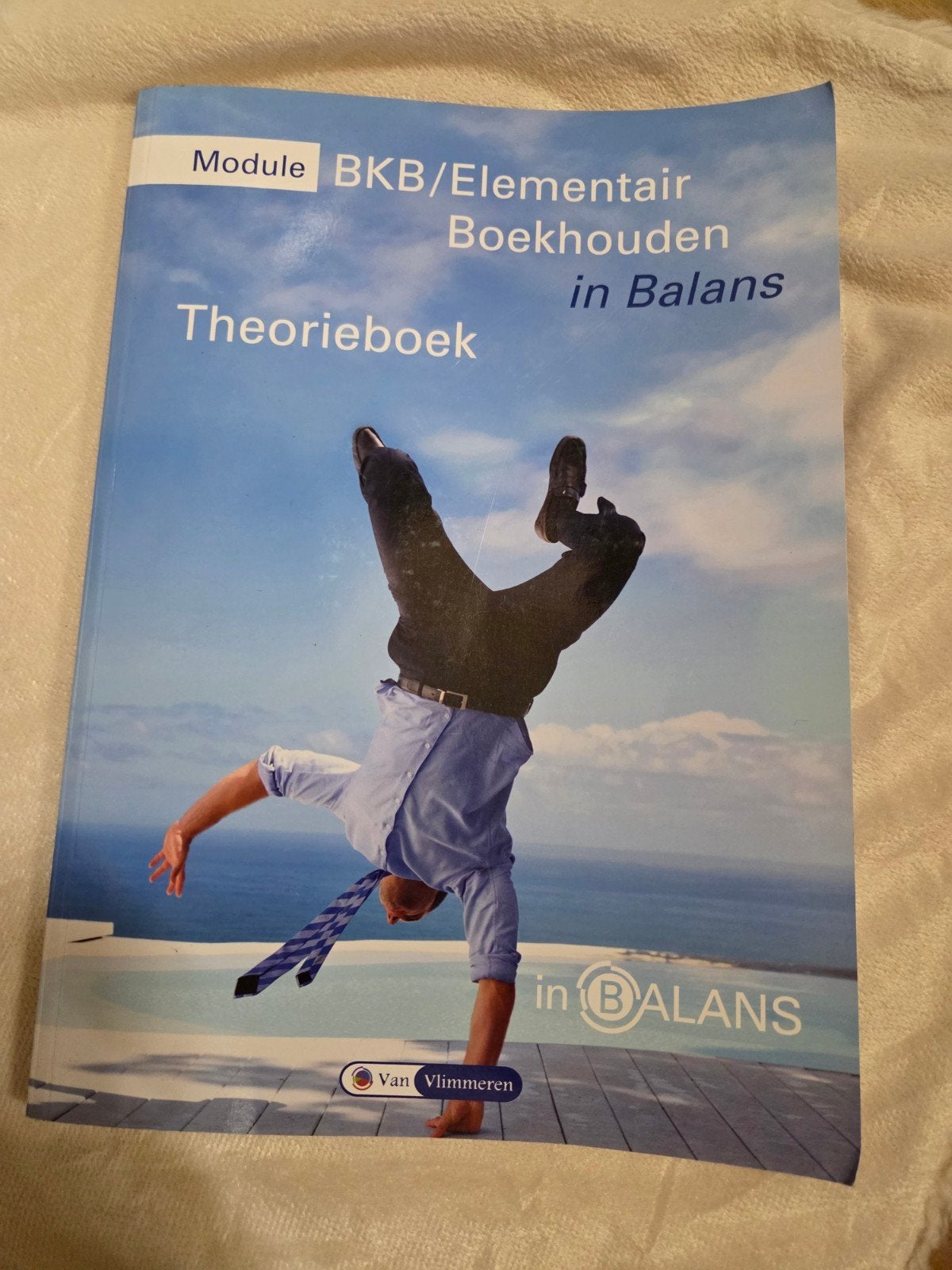 Module BKB/Elementair Boekhouden in Balans Theorieboek, Boeken, Zo goed als nieuw, Sarina van Vlimmeren m.m.v. Wim de Reuver, Gamma