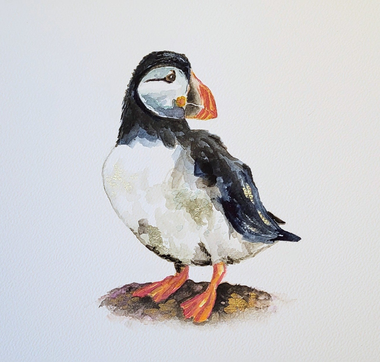 Aquarel Puffin - eigen werk - 20x20cm ingelijst, Aquarel, Papier/karton, Ophalen of Verzenden, Dieren