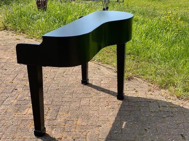 Minishell van Pianoshell (C), Muziek en Instrumenten, Ophalen, Nieuw, Overige aantallen, Overige merken