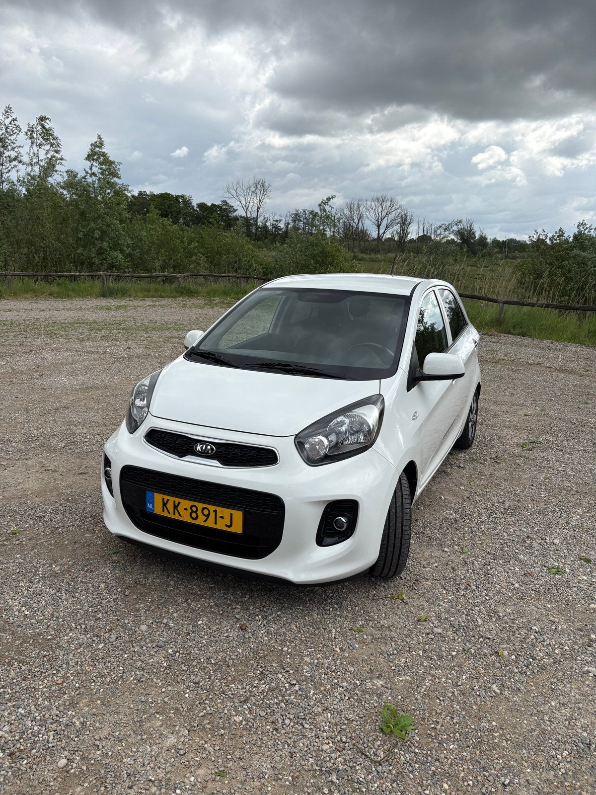 Kia Picanto 1.0 Cvvt 5-DRS 2016 Wit, 4 stoelen, Wit, Origineel Nederlands, 24 km/l