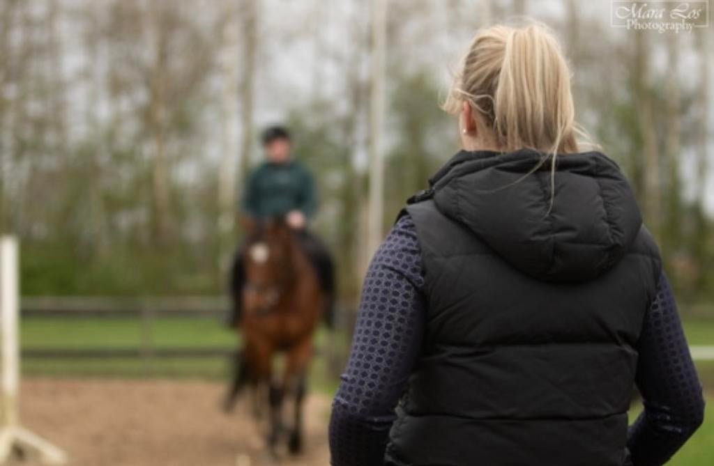 Instructrice aangeboden paardrijles, Toebehoren, 2 of 3 paarden of pony's