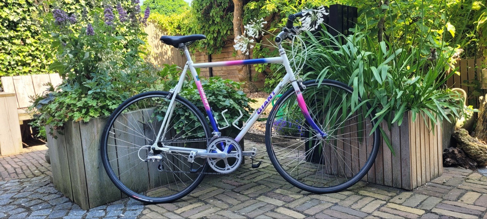 Giant oldtimer 58 cm (lichaamslengte 175-185), Ophalen of Verzenden, Gebruikt, Aluminium, Giant