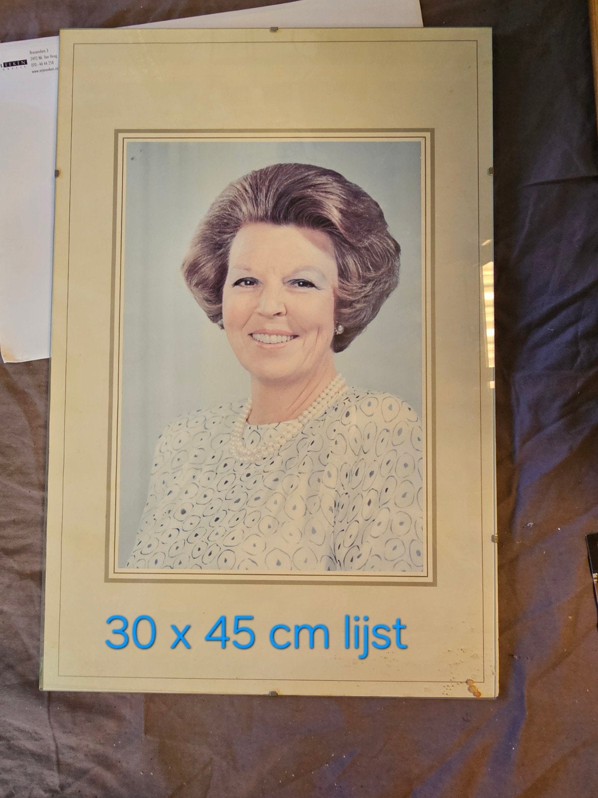 Officieel Staatsieportret Koningin Beatrix (Thuring B.V. / R, Ophalen of Verzenden, 1980 tot heden, Overige onderwerpen