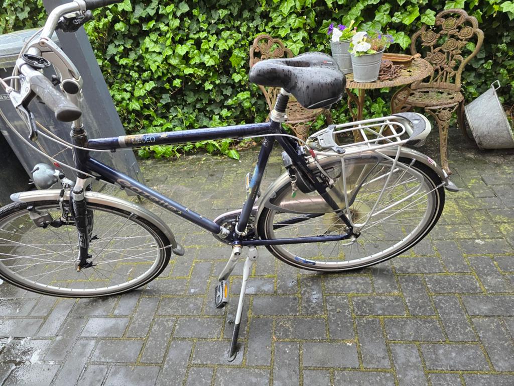Gazelle Medeo track and trail framemaat 61, Fietsen en Brommers, Ophalen, Gebruikt, Velgrem, Versnellingen
