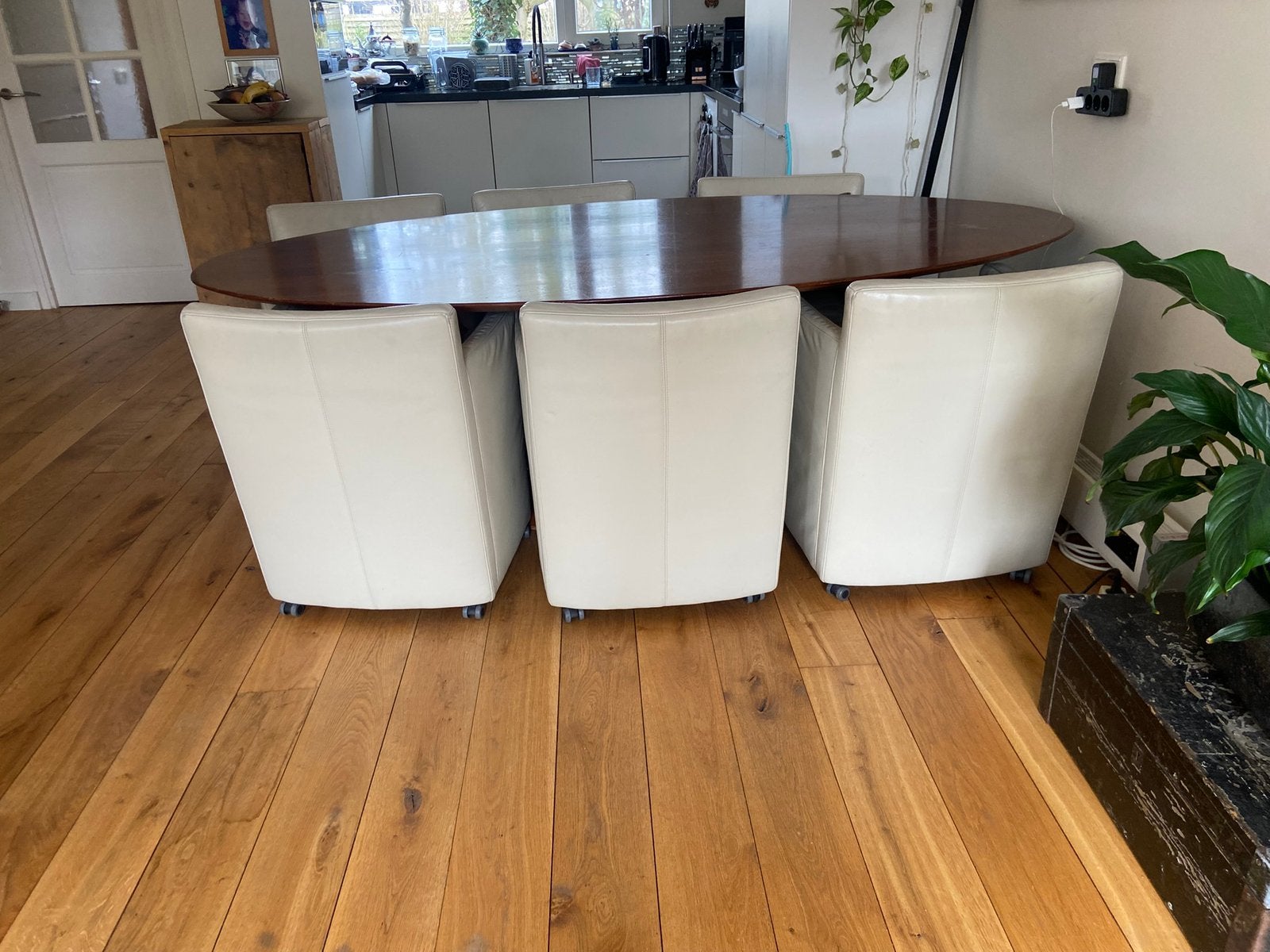 Crèmekleurige stoelen , merk: W.Schillig. 6 stuks, Ophalen, Gebruikt, 4 tot 6 stoelen