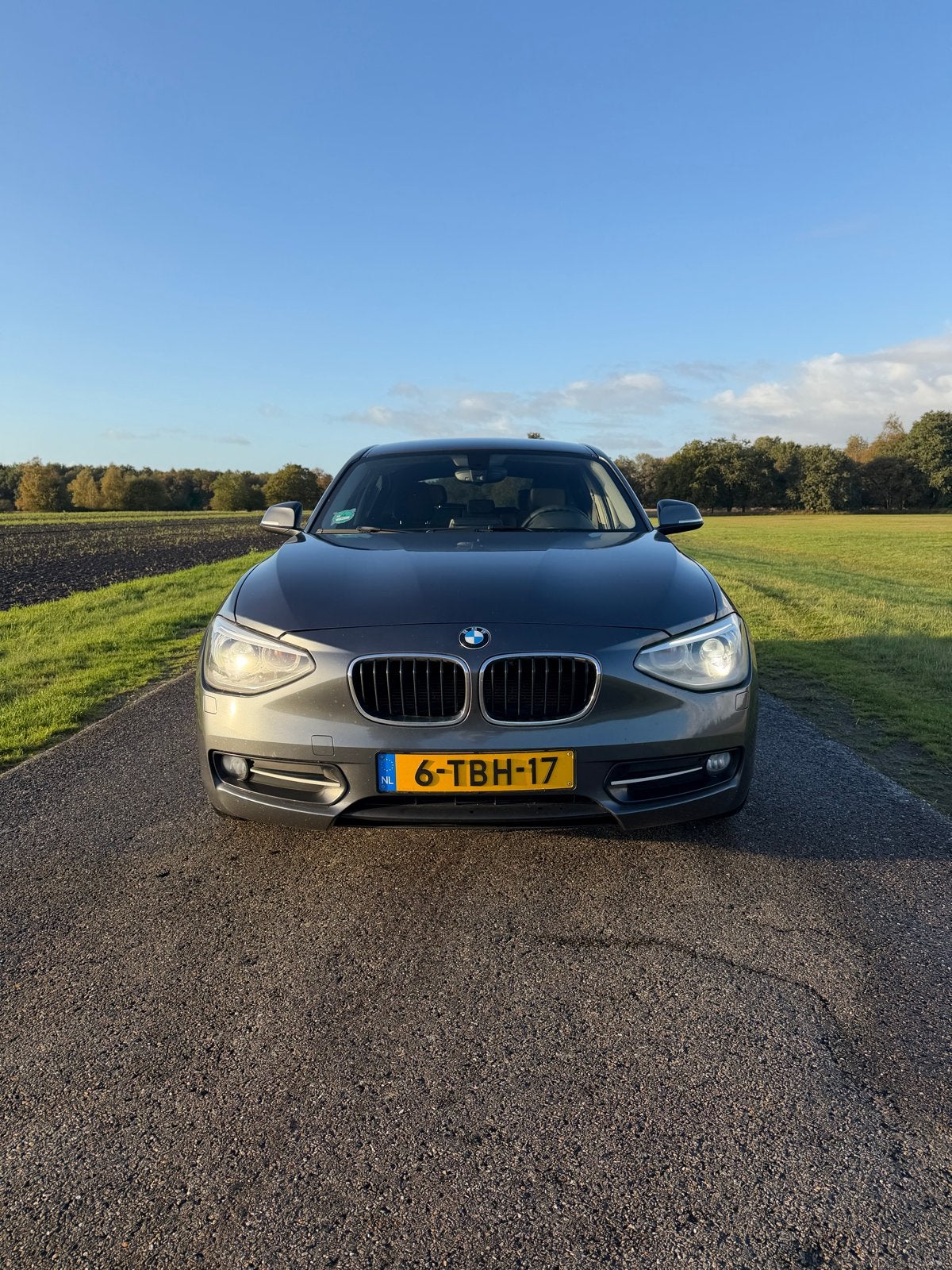 BMW 116I 210PK 5DR 2013 Grijs, Auto's, 1-Serie, 4 cilinders, Origineel Nederlands, 1200 kg