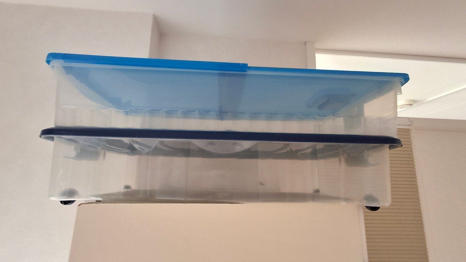 Opbergbox met deksel, transparant en blauw, Huis en Inrichting, Ophalen, Kunststof, Minder dan 50 cm
