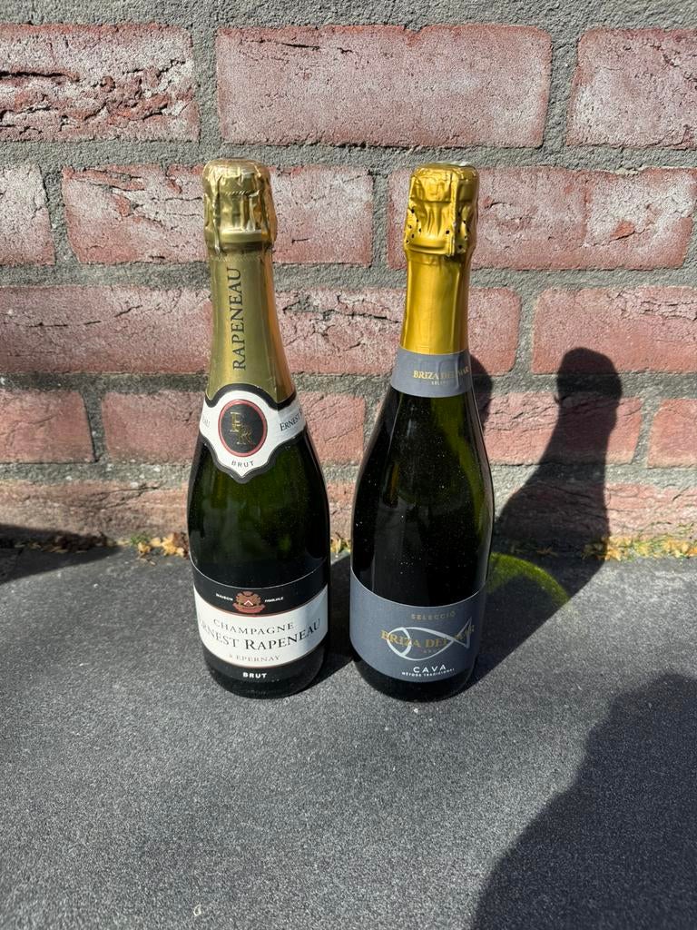 Champagne en cava, Ophalen of Verzenden, Zo goed als nieuw, Frankrijk, Champagne
