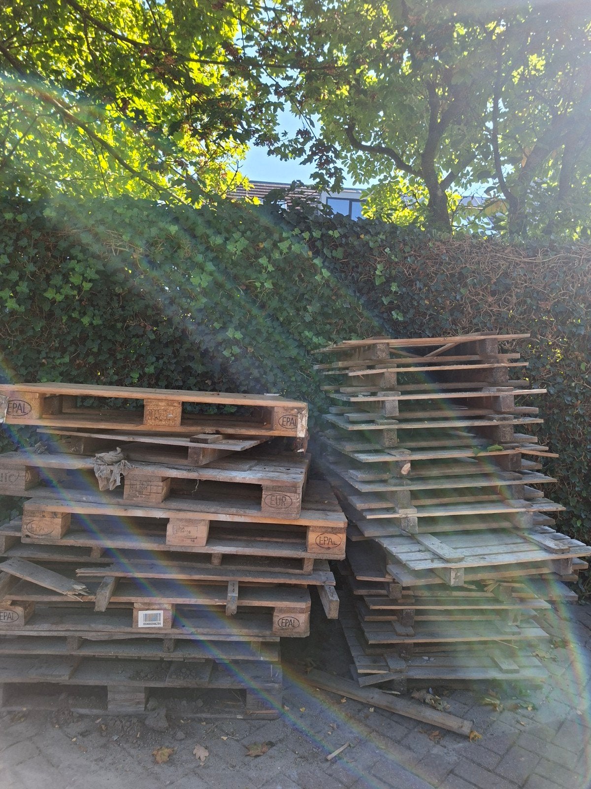 Gebruikte (o.a. EPAL) Pallets - Diverse maten, Doe-het-zelf en Verbouw, Ophalen, Gebruikt, 50 mm of meer, Pallet