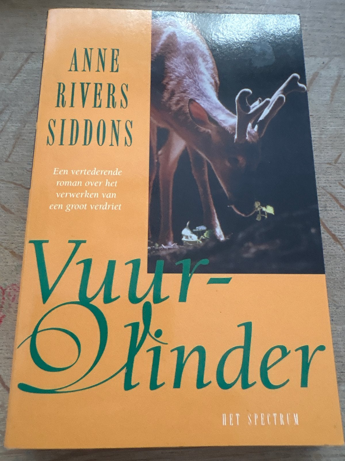 Vuurvlinder - Anne Rivers Siddons (Roman), Boeken, Ophalen of Verzenden, Gelezen, Amerika