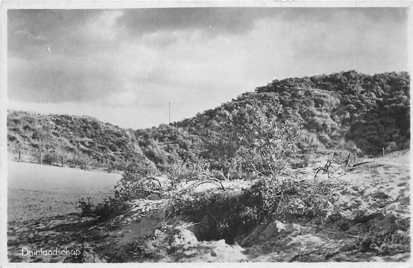 377-125-029 Duinlandschap, Verzamelen, Ansichtkaarten | Nederland, Voor 1920, Verzenden