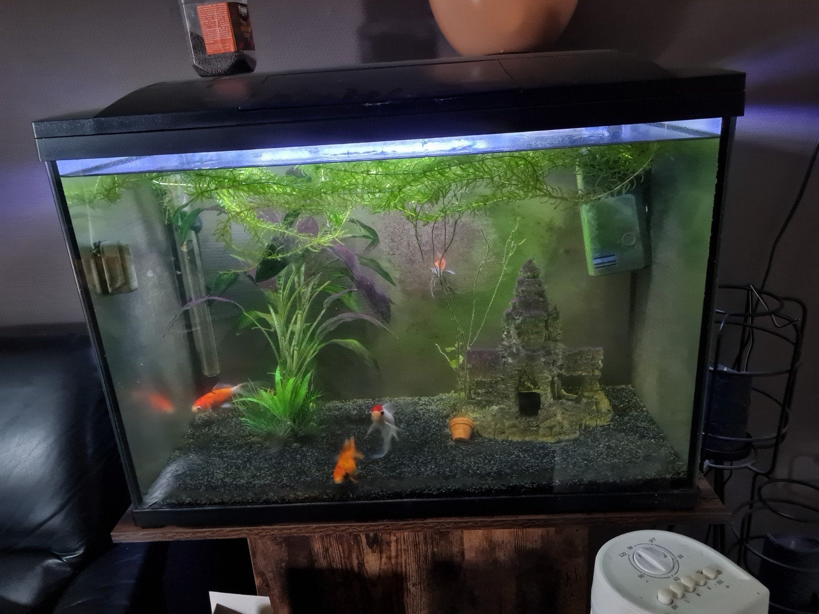 te koop een mooie aquarium, Dieren en Toebehoren, Ophalen of Verzenden, Zo goed als nieuw