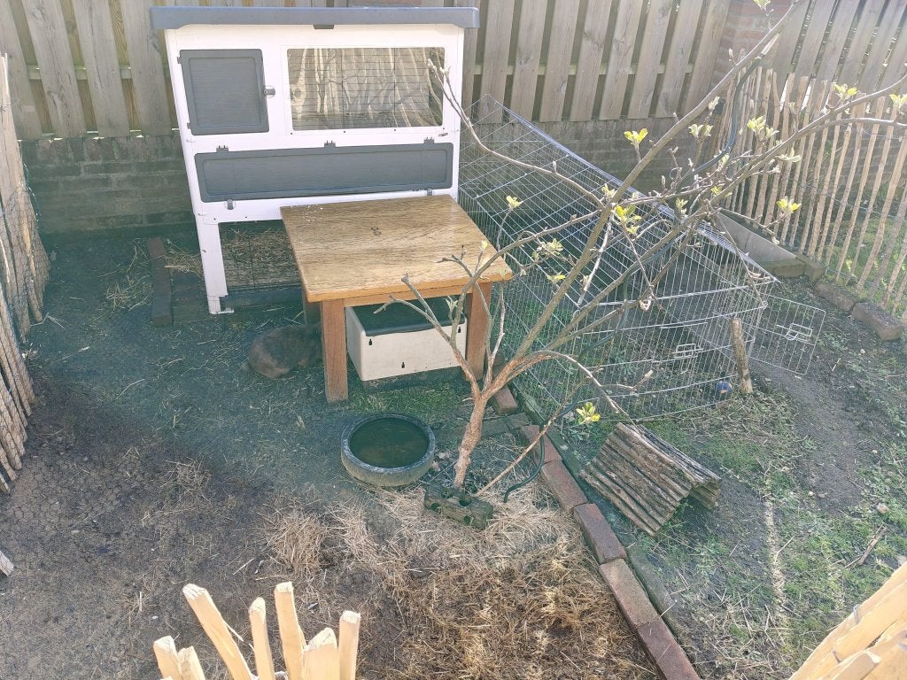 Konijnenhok, Dieren en Toebehoren, Knaagdieren en Konijnen | Hokken en Kooien, Ophalen, 90 cm of meer, Konijn, Hok