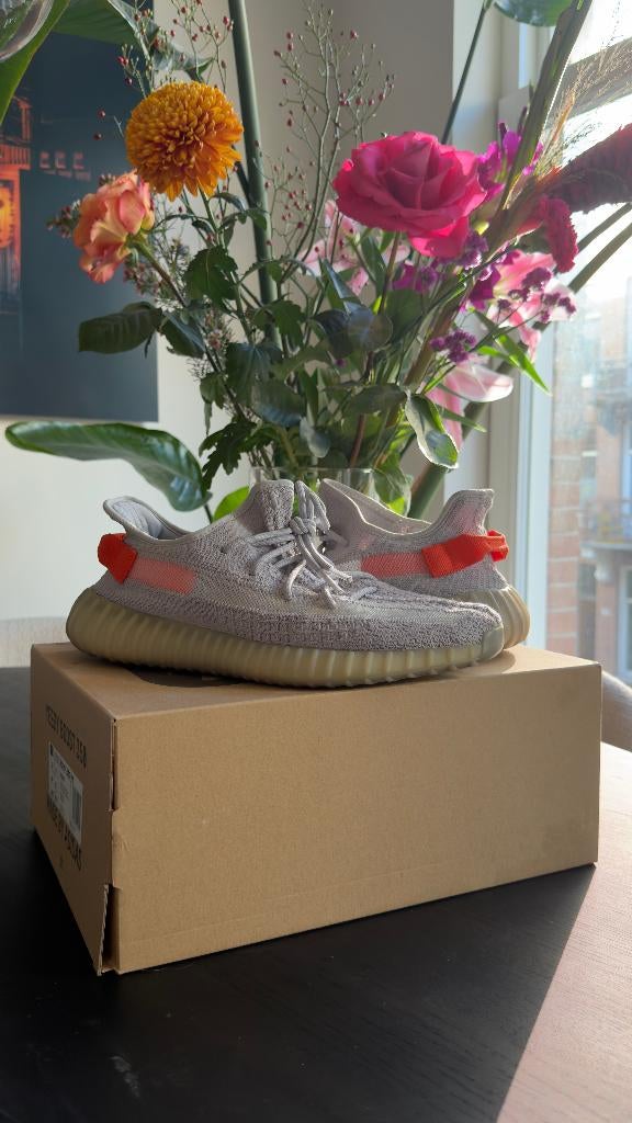 Adidas Yeezy Boost 350 V2 "Tail Light | Maat 44 | FX9017, Overige kleuren, Nieuw, Ophalen of Verzenden, Sneakers of Gympen