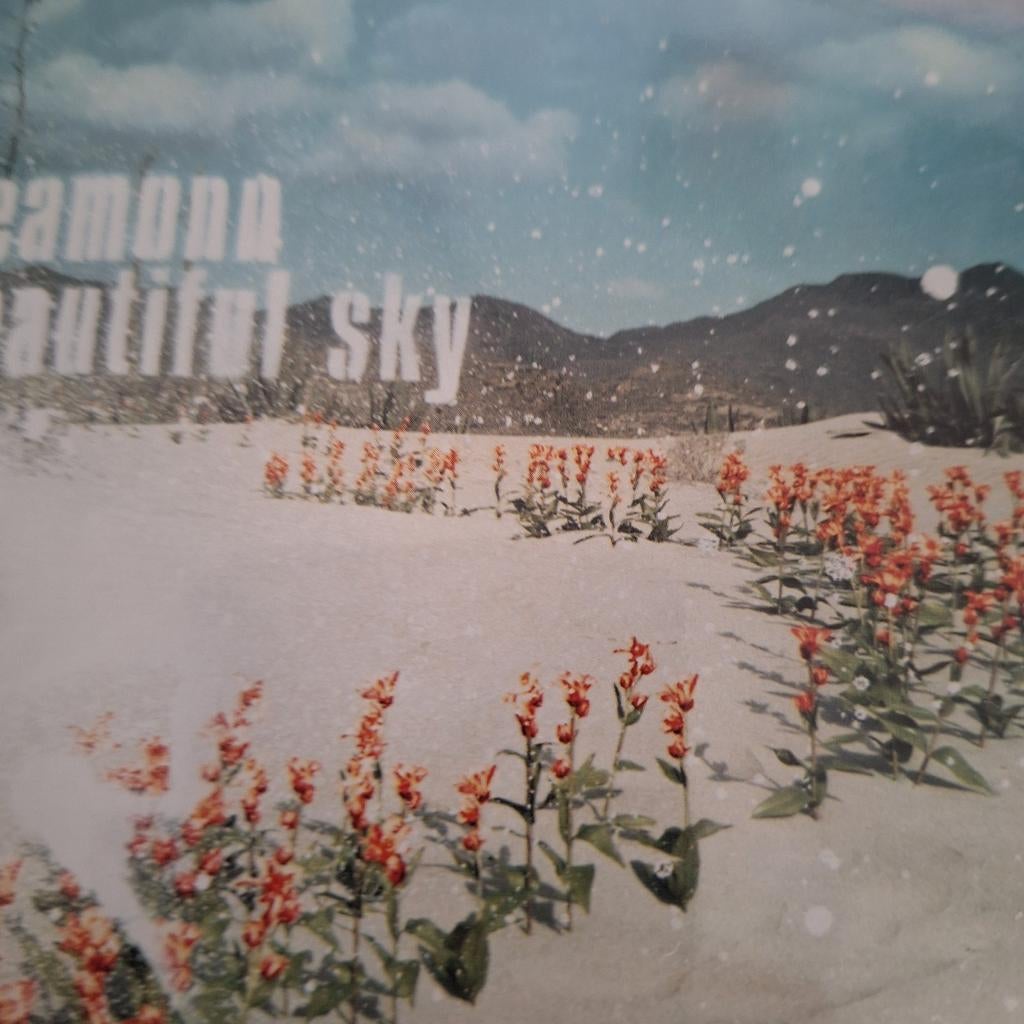 Reamonn beautiful sky, Cd's en Dvd's, Ophalen of Verzenden, Zo goed als nieuw, Poprock
