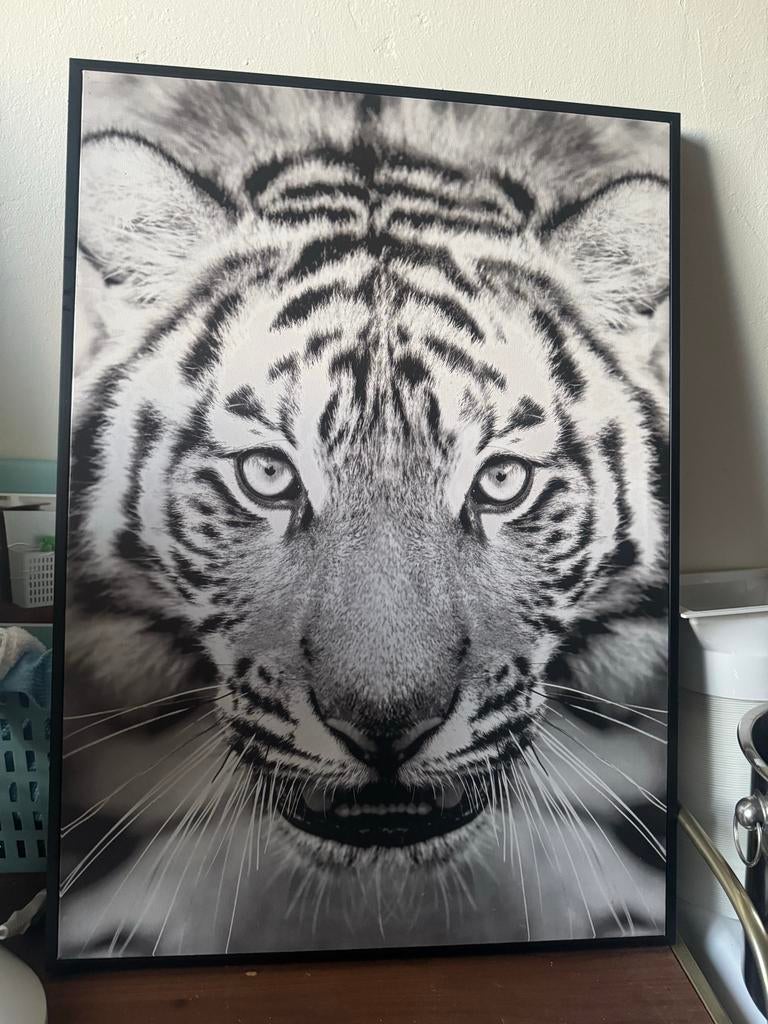 Zwart-wit tijger canvas - 50x70 cm, Ophalen of Verzenden, Zo goed als nieuw, Print, 50 tot 75 cm