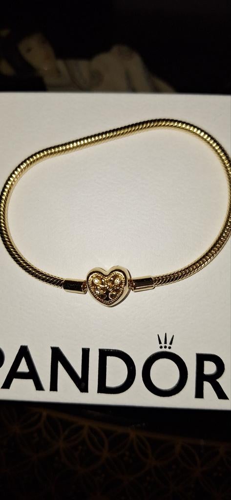 Nieuwe Pandora armband 18 cm zie bon, Ophalen of Verzenden, Nieuw, Zilver, Zilver