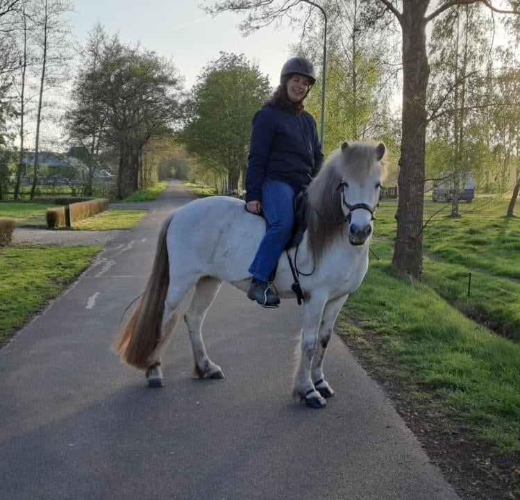 Lieve, zachtaardige IJslander / IJslandse merrie 9 jaar, Dieren en Toebehoren, Pony's, Merrie, Met stamboom, 7 tot 10 jaar, Recreatiepony