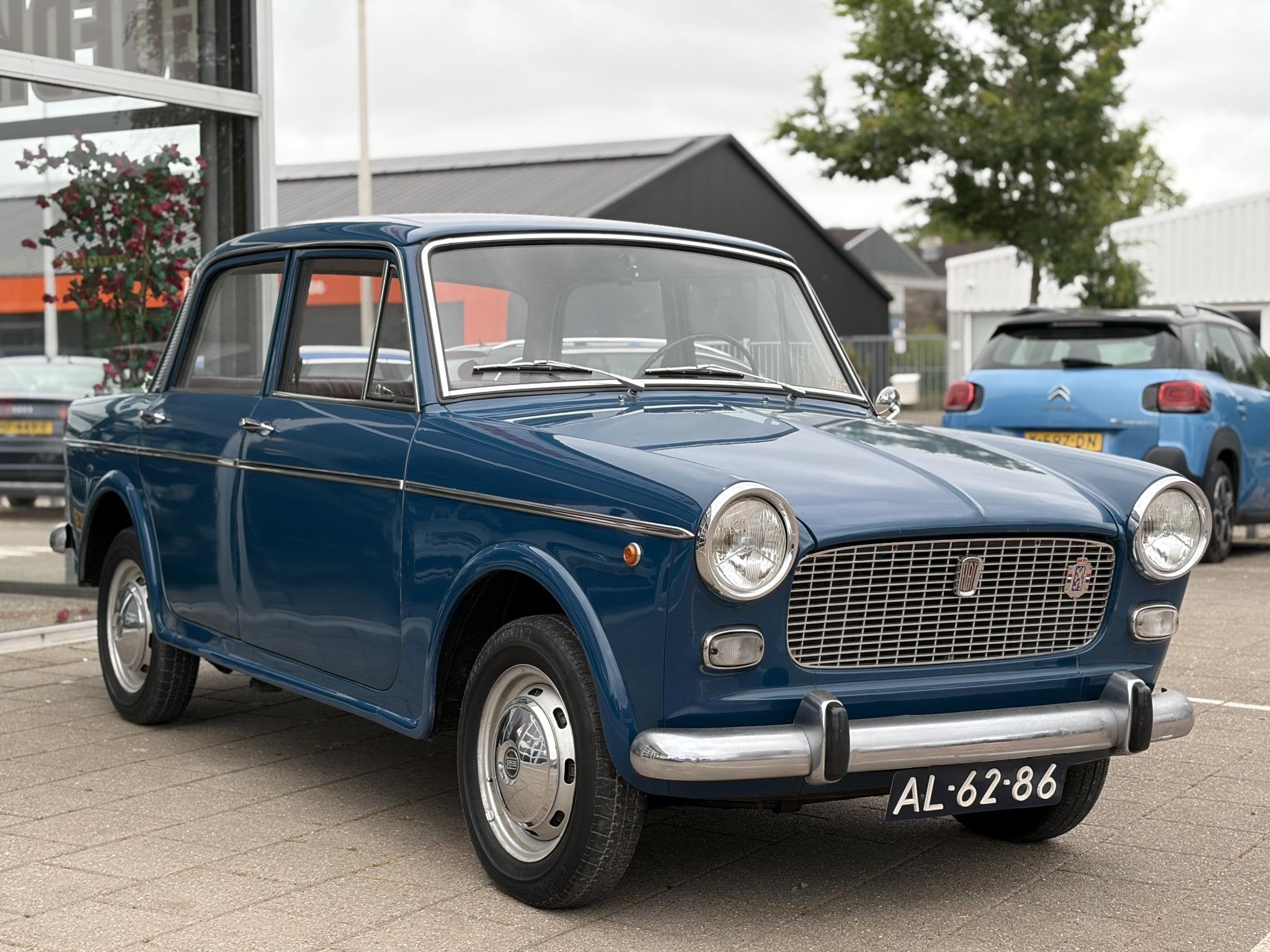 Fiat 1100 d / Uniek / Topconditie / 1965!, Auto's, Fiat, Stof, Gebruikt, Overige modellen, 4 cilinders