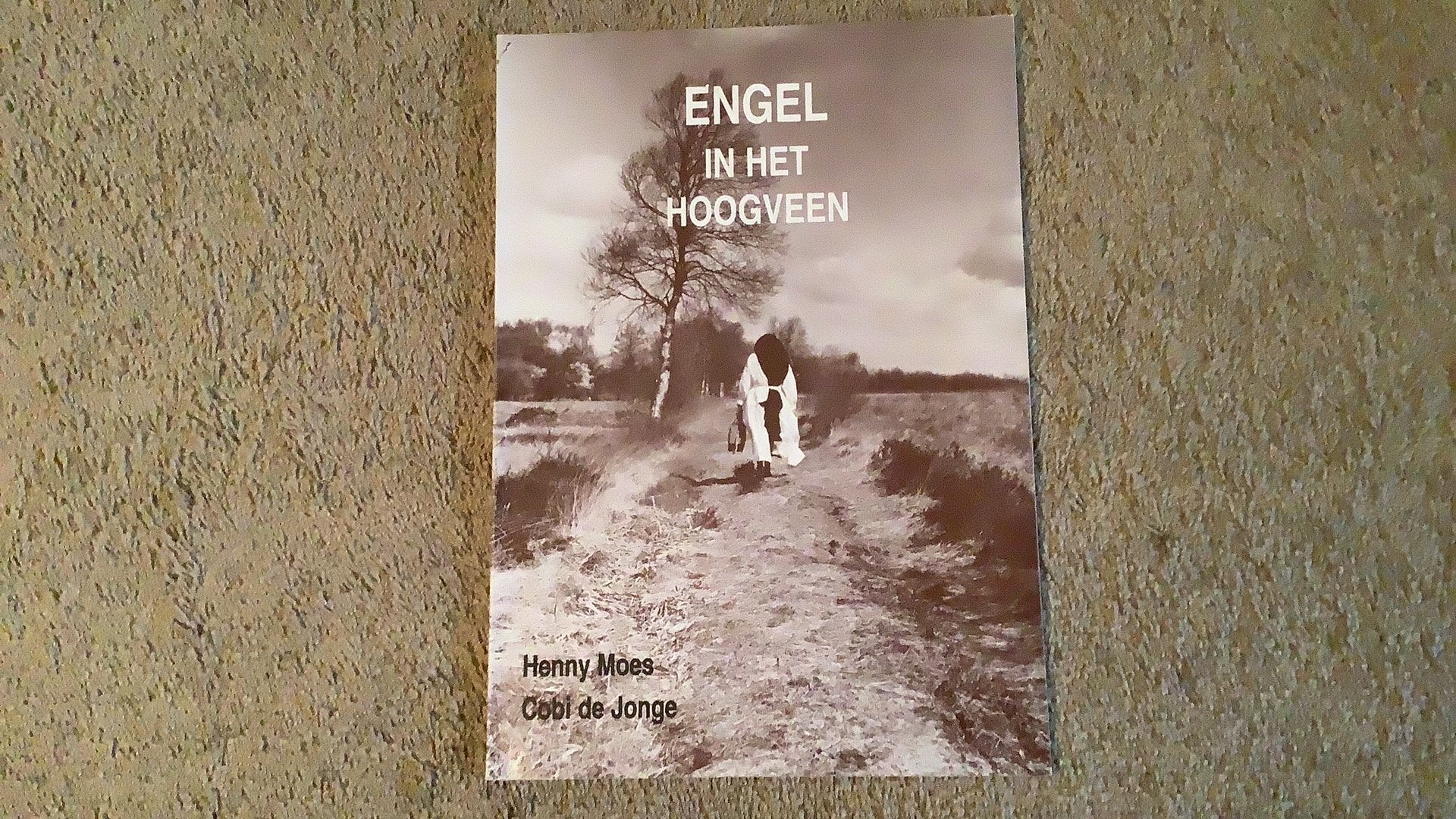 Engel in het hoogveen, Henny Moes / Cobi de Jonge, 2001, H. Moes; C. de Jonge, Ophalen of Verzenden, Zo goed als nieuw, Religie