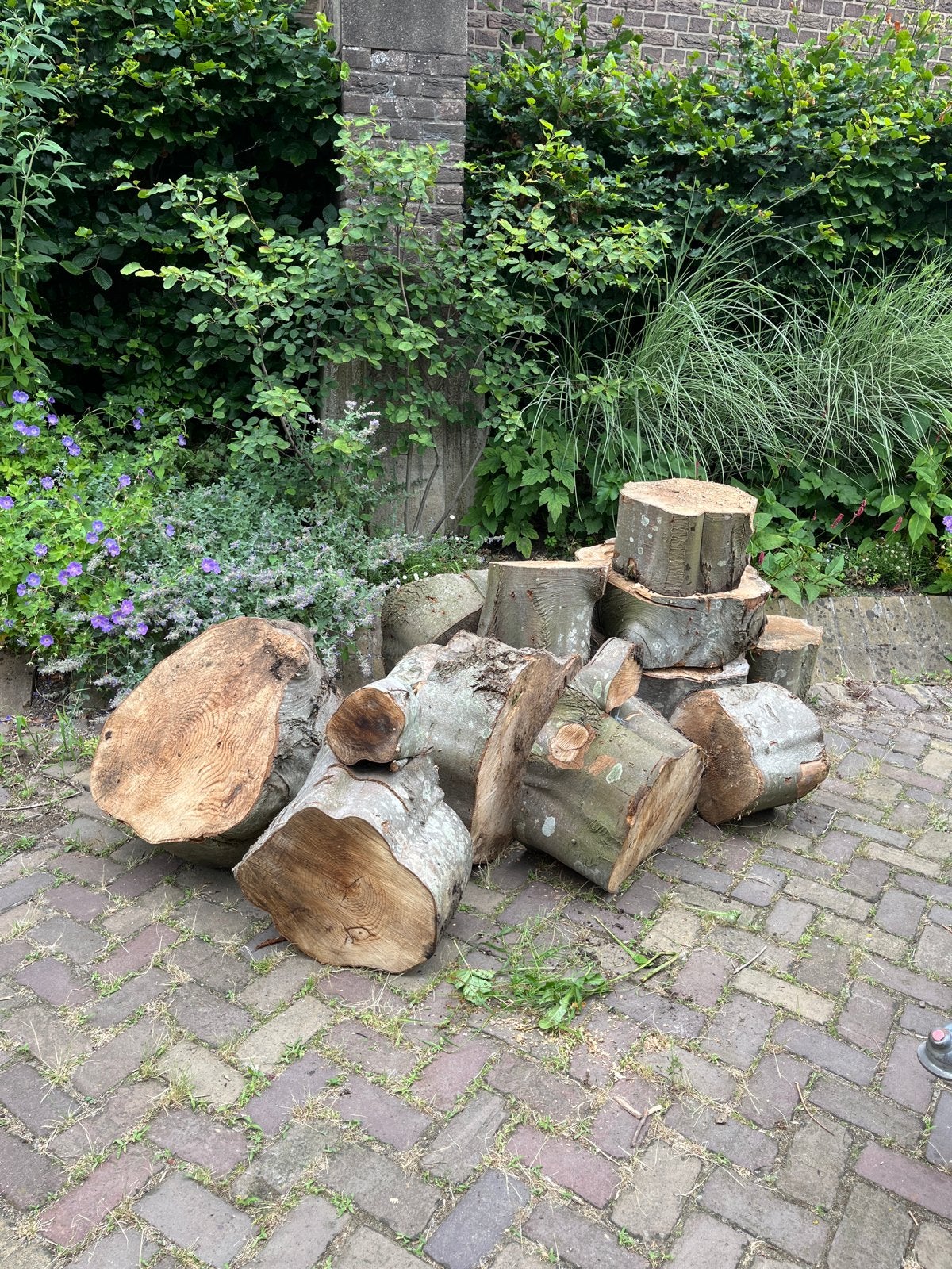 Partij vers beuken haardhout, Minder dan 3 m³, Ophalen, Beukenhout, Blokken