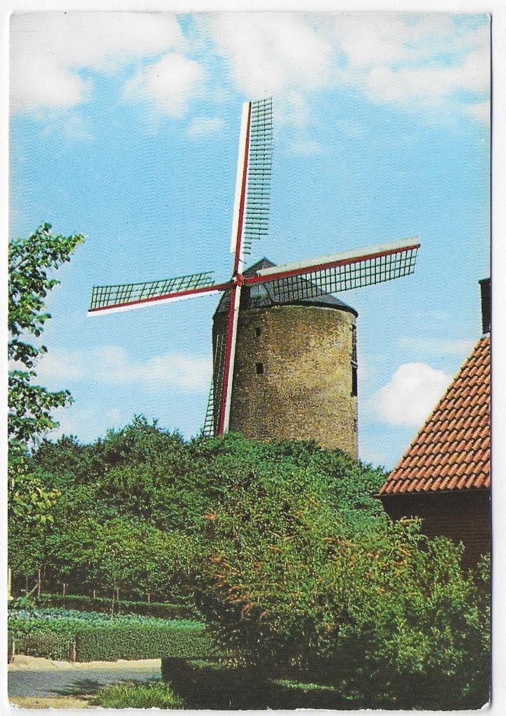 Zeddam torenmolen ongelopen Ansichtkaart (B2753), Ophalen of Verzenden, 1980 tot heden, Ongelopen
