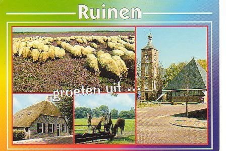 Ansichtkaart 	Ruinen	4-luik	Paarden	Schapen, Verzenden, 1980 tot heden, Gelopen, Drenthe