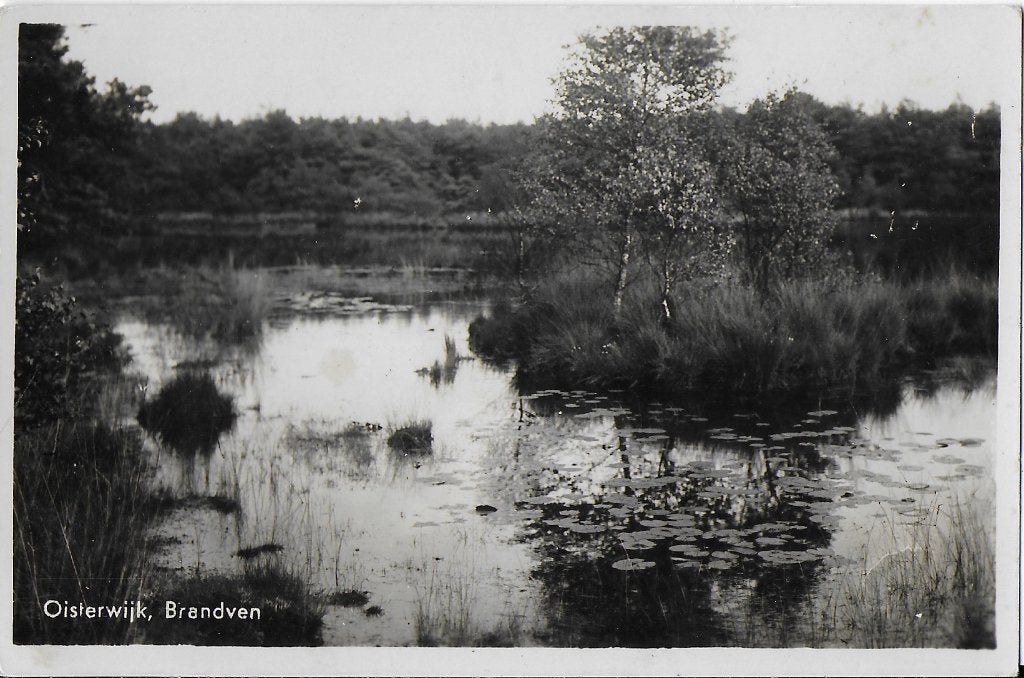 Oisterwijk brandven oude gelopen ansichtkaart ( 1793 ), Ophalen of Verzenden, 1960 tot 1980, Gelopen, Noord-Brabant