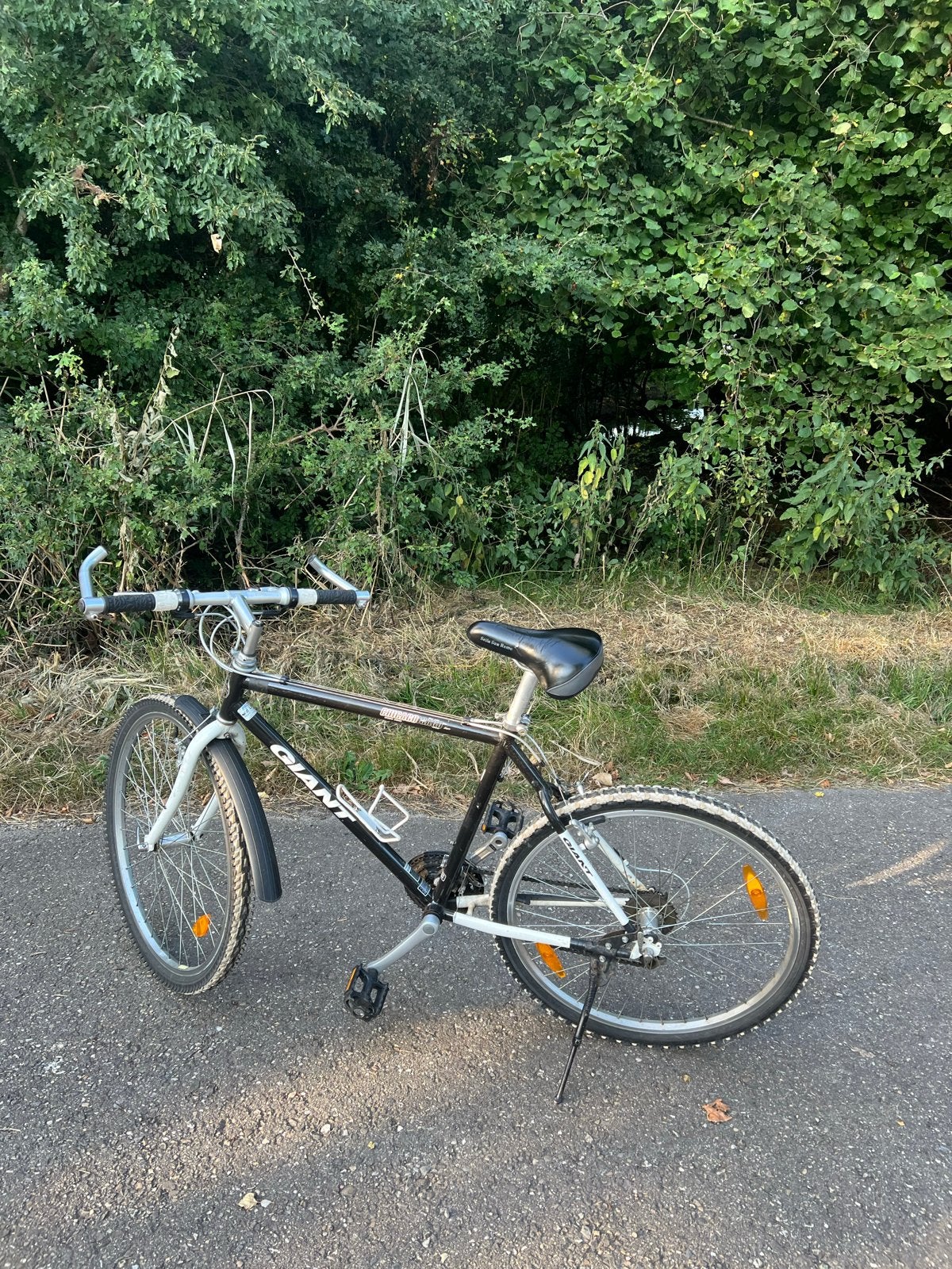 Mountainbike, Ophalen, Gebruikt, Giant, Geen vering