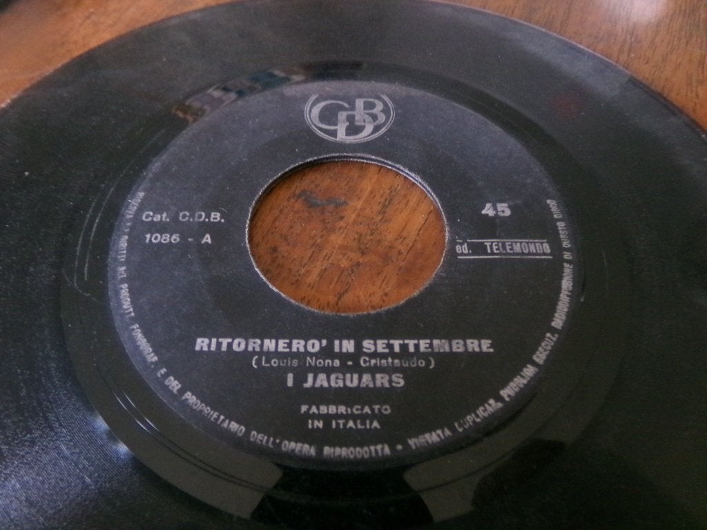 I Jaguars ‎– Ritornerò In Settembre / Non Sei Sincera - 1966, Ophalen of Verzenden, Gebruikt