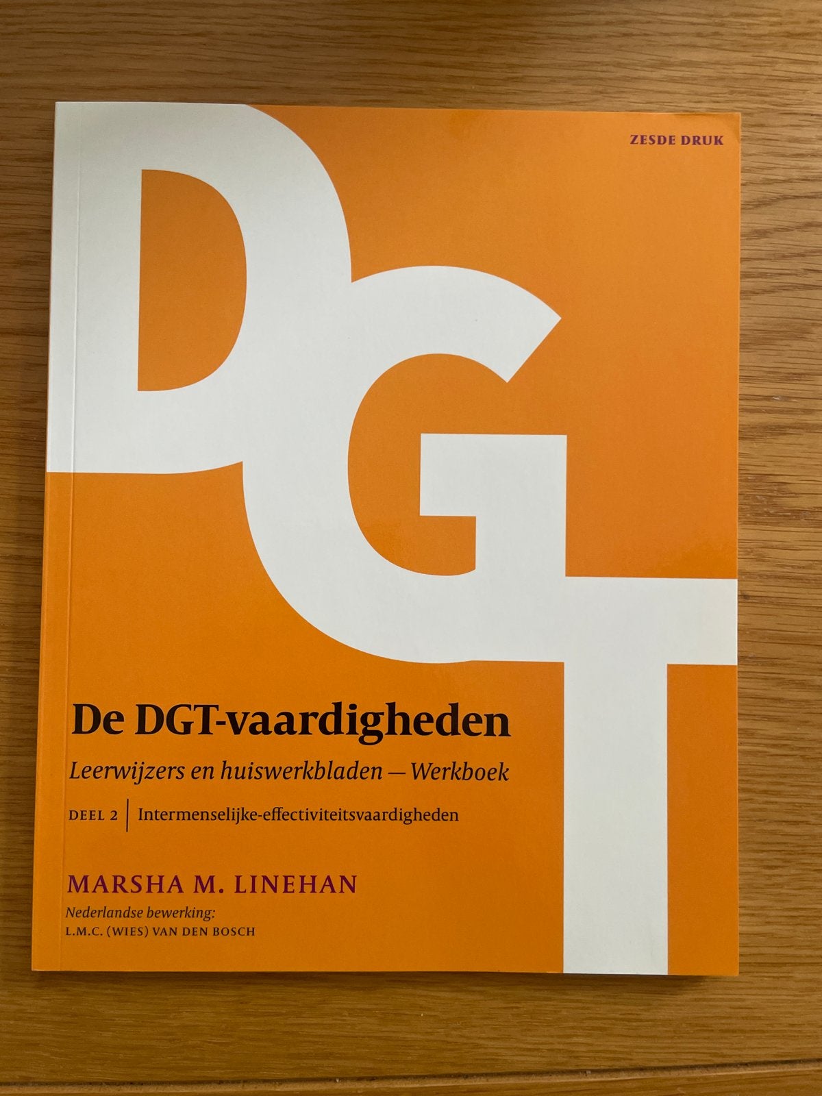 De DGT-vaardigheden Leerwijzers en huiswerkbladen Deel 2, Ophalen of Verzenden, Gamma, Nieuw, HBO