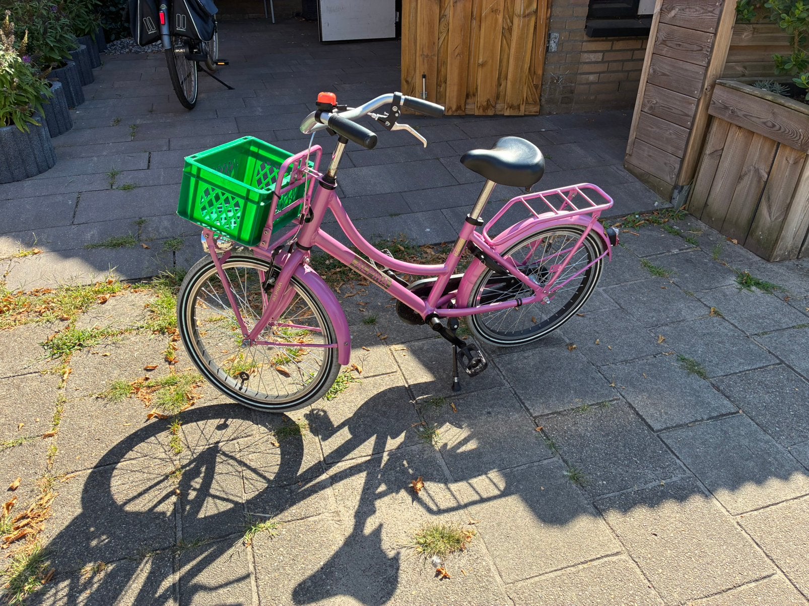 20inch roze Alpina cargo 130€, Fietsen en Brommers, Fietsen | Meisjes, Ophalen, Terugtraprem, Gebruikt, Handrem
