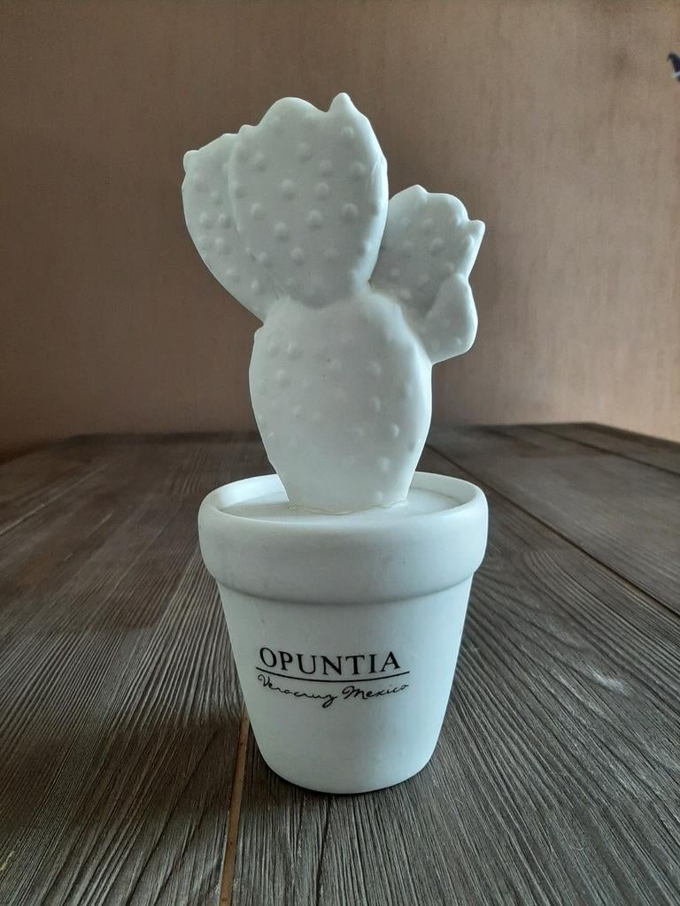 Stenen Cactus (riviera maison), Ophalen