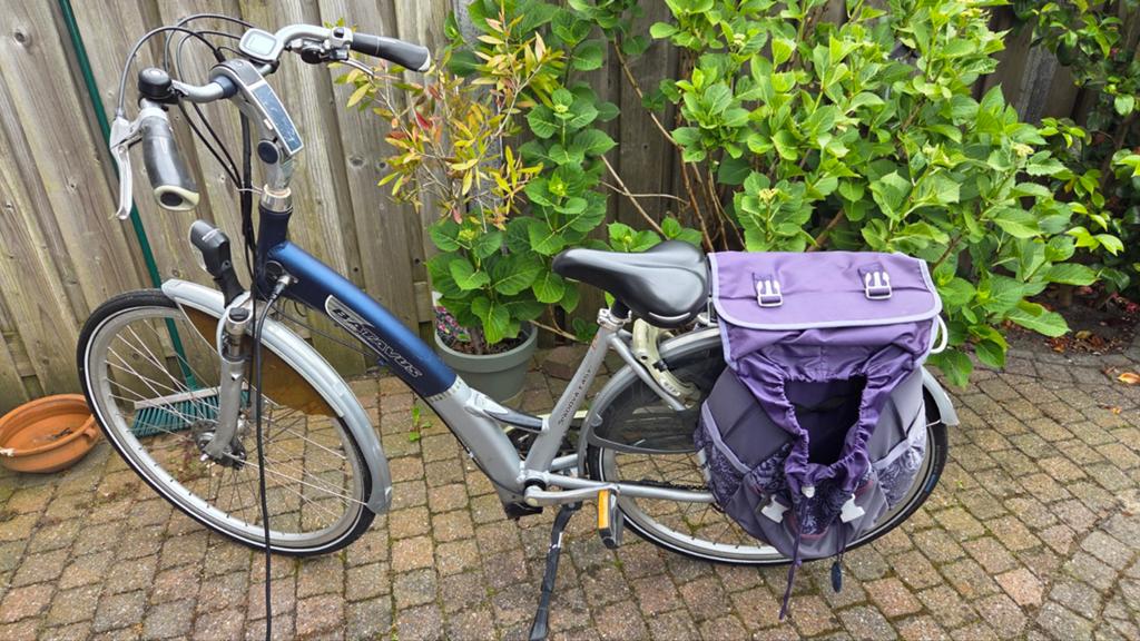 Batavus padova easy, Fietsen en Brommers, Minder dan 47 cm, Ophalen, Gebruikt, Batavus