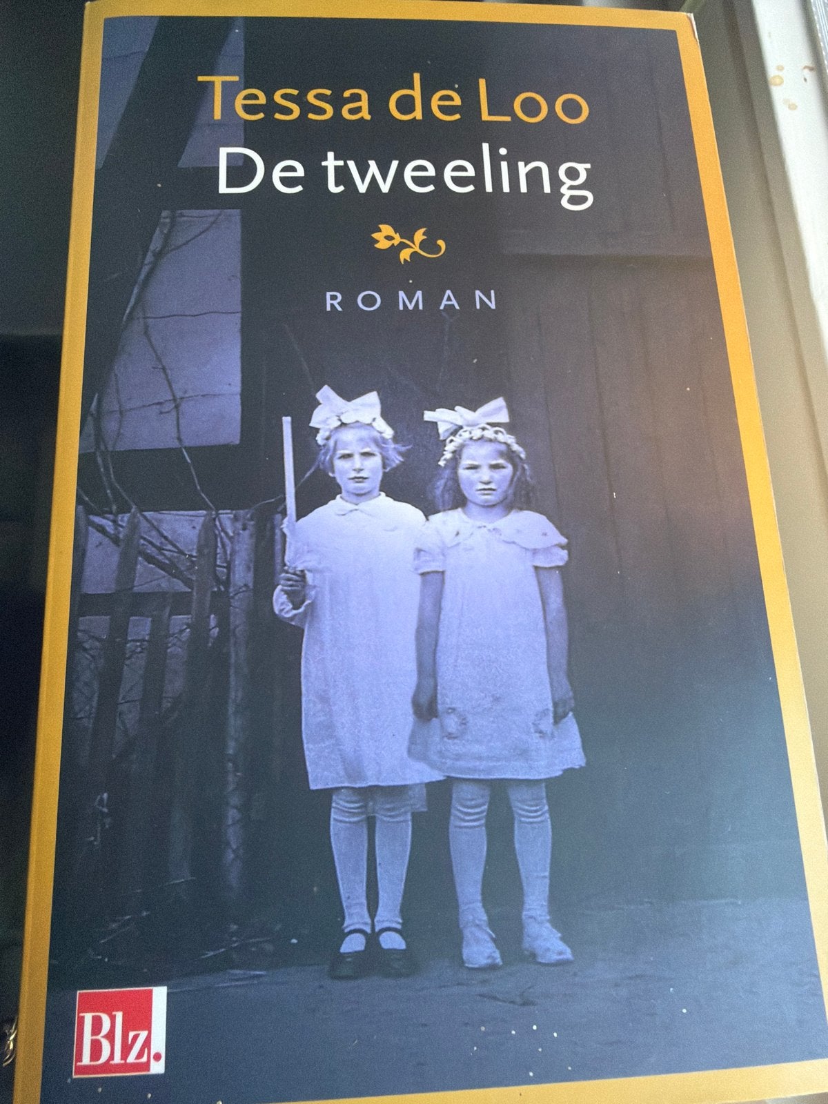 Tessa de Loo - De tweeling (Roman), Boeken, Ophalen of Verzenden, Gelezen, Nederland