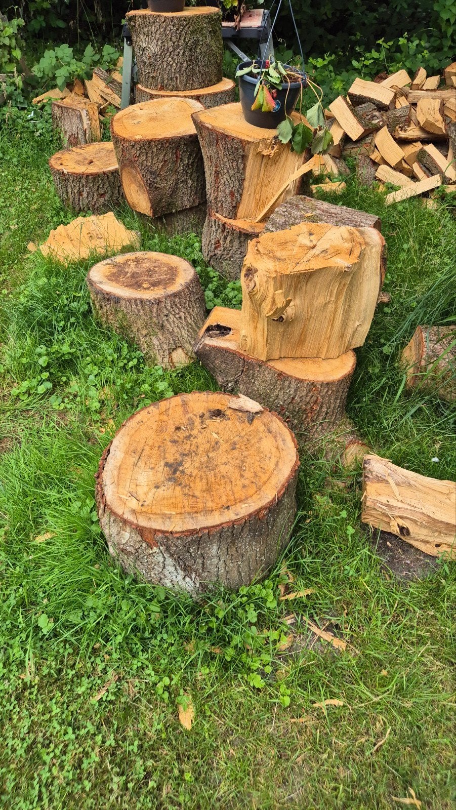 Eikenhout, haardhout, Tuin en Terras, Minder dan 3 m³, Ophalen